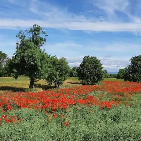 Cal Lleida