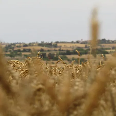 Cal Belló Casa de Campo
